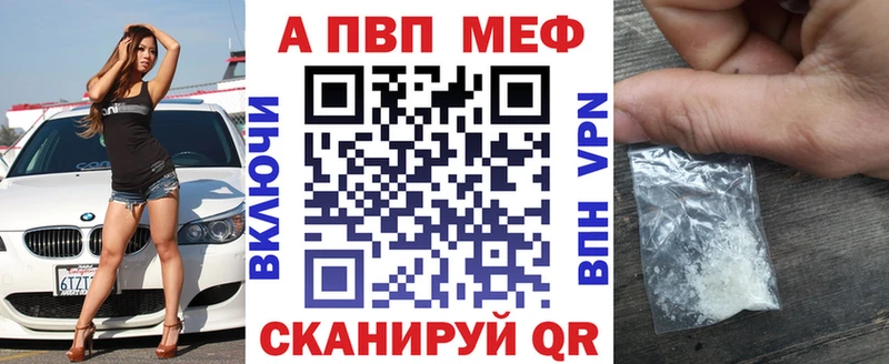 как найти закладки  Светогорск  Альфа ПВП СК КРИС 