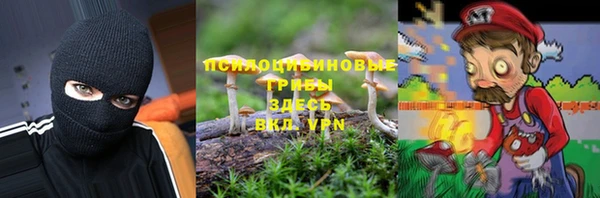 трава Балахна
