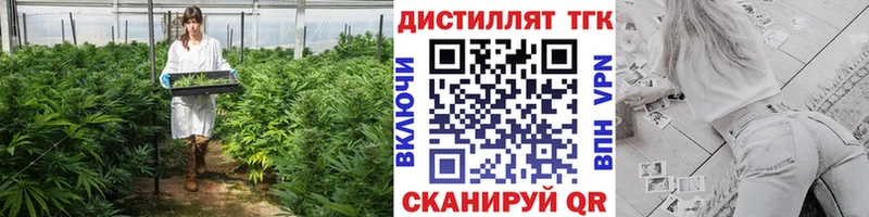 ТГК Wax  Светогорск 